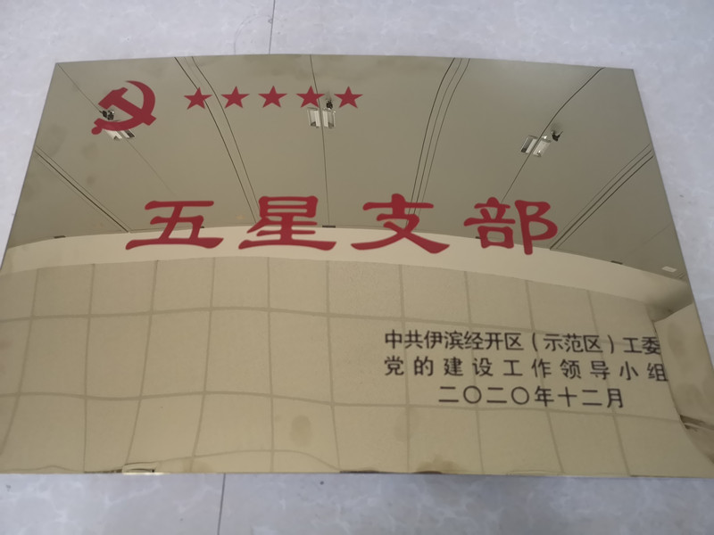 中共河南申泰控股集團(tuán)總支委員會(huì)被授予“五星支部”榮譽(yù)稱號(hào)
