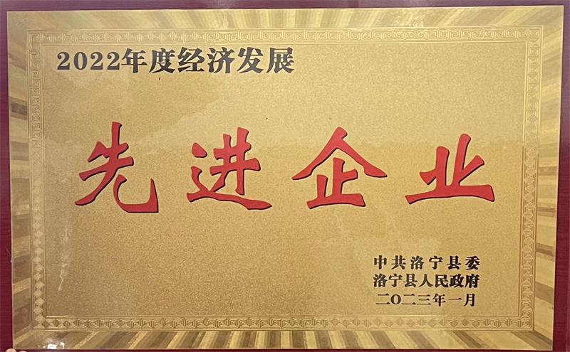 喜報！ 恭賀洛陽龍泰實業股份有限公司 榮獲“2022年度經濟發展先進企業”稱號